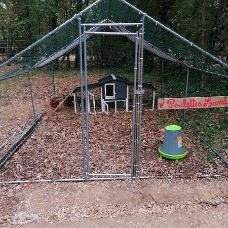 Emplacement Tente Camping Car Saint-Aubin-de-Nabirat Екстериор снимка