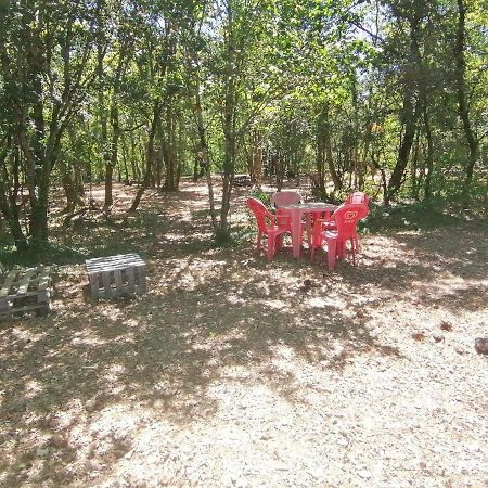 Emplacement Tente Camping Car Saint-Aubin-de-Nabirat Екстериор снимка