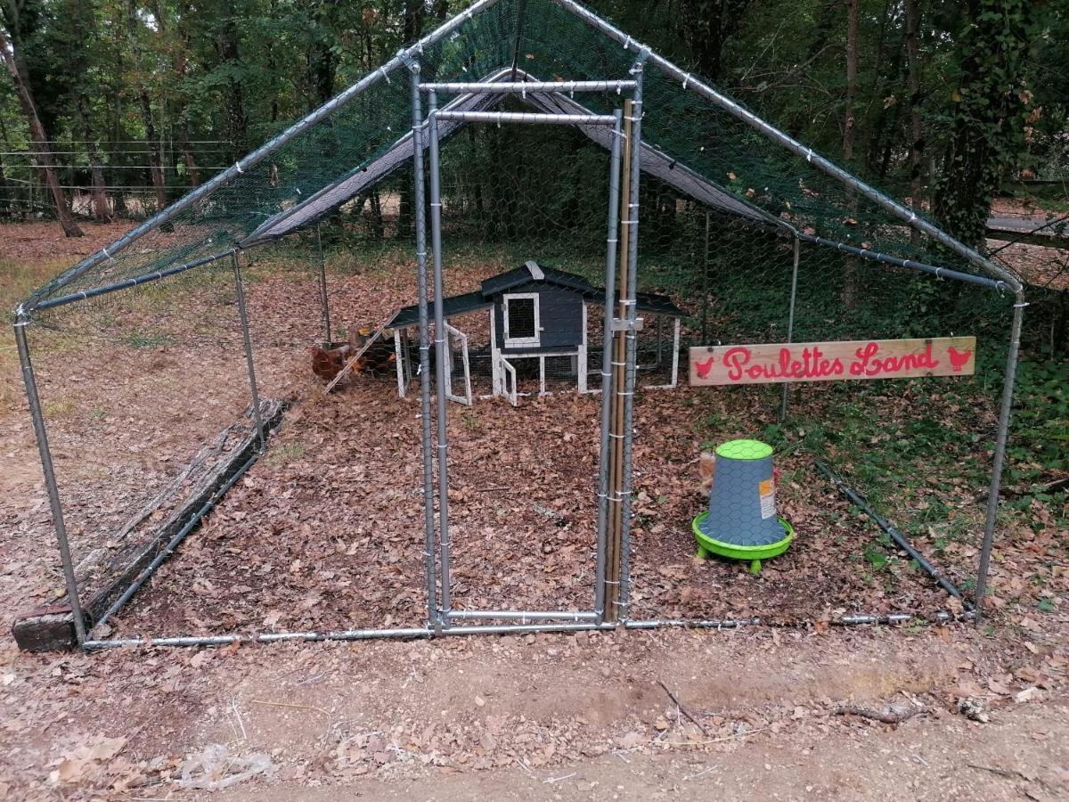 Emplacement Tente Camping Car Saint-Aubin-de-Nabirat Екстериор снимка