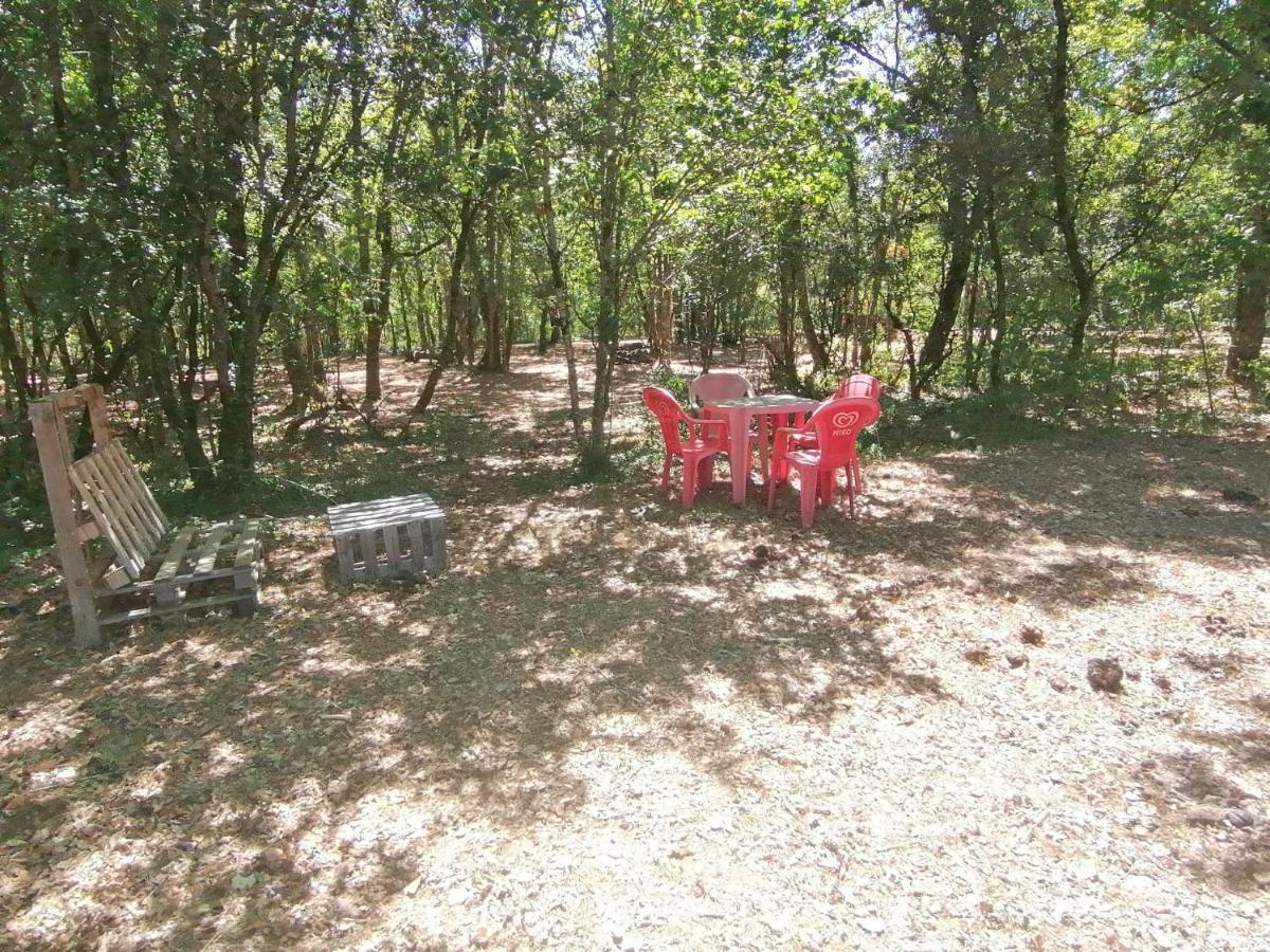 Emplacement Tente Camping Car Saint-Aubin-de-Nabirat Екстериор снимка